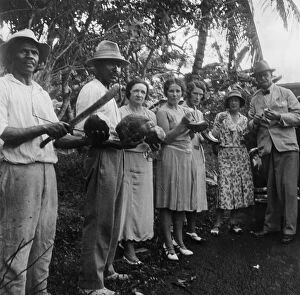 Coconut Gallery: Tourists during a halt by the wayside, St Vincent, 1931