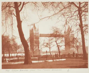 Embankment Prints: The Tower Bridge from the Tower grounds