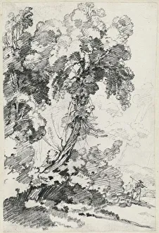 Vien Joseph Marie I Prints: A Towering Tree with Travelers, 1746/1749. Creator: Joseph-Marie Vien the Elder