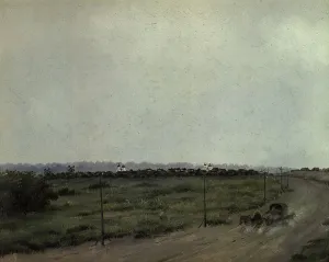 Steppe Prints: The Town of Kainsk in Tomsk Province in the Barabinsk Steppe