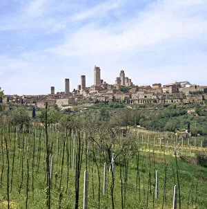 Vine Gallery: The town of San Gimignano, 13th century