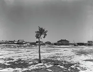 Deserted Prints: The town of Widtsoe, Utah, 1936. Creator: Dorothea Lange