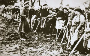 Townsfolk wait to scour the fields for potatoes left by farmers, Germany, World War I Townsfolk wait to scour the fields for potatoes left by farmers, Germany, World War I