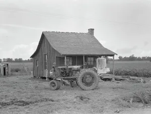 Tractor Prints: Tractors with pneumatic tires are replacing mules on the Delta plantations