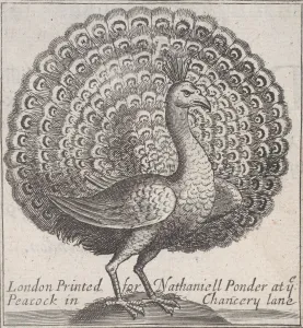 Trade card for Nathaniell Ponder, Bookseller, 18th century., Creator: Anon Trade card for Nathaniell Ponder, Bookseller, 18th century., Creator: Anon