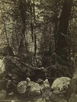 Albumen Print From Wet Collodion Negative Collection: The Trail in West Gallatin Canon, c. 1870s. Creator: William Henry Jackson (American