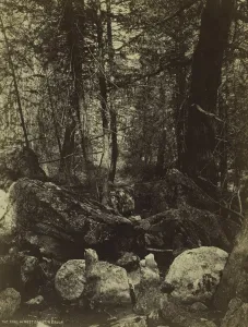 The Trail in West Gallatin Canon, c. 1870s. Creator: William Henry Jackson (American The Trail in West Gallatin Canon, c. 1870s. Creator: William Henry Jackson (American
