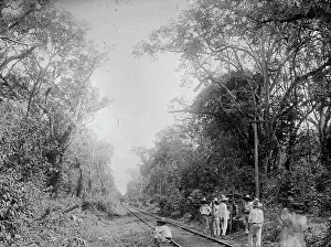 Train in the Cafetal of Temasopa (i.e. Tamasopo), between 1880 and 1897. Creator: William H. Jackson