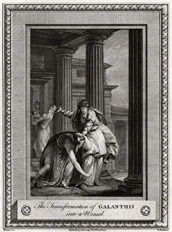 Deception Prints: The Transformation of Galanthis into a Weasel, 1777. Artist: W Walker