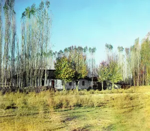 Steppe Prints: Transit farmstead in Nadezhdinsk settlement
