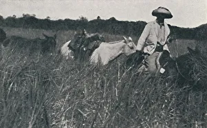 Pampas Prints: Travel on the Pampas, 1916