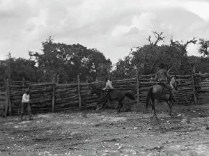 Cowboy Prints: Travel views of the American Southwest, between 1899 and 1928. Creator: Arnold Genthe