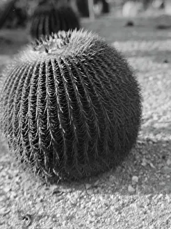 Arid Prints: Travel views of the American Southwest, between 1899 and 1928. Creator: Arnold Genthe