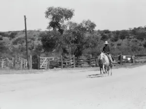 On Horseback Prints: Travel views of the American Southwest, between 1899 and 1928. Creator: Arnold Genthe