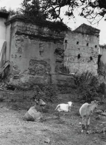 Travel views of Cuba and Guatemala, between 1899 and 1926. Creator: Arnold Genthe