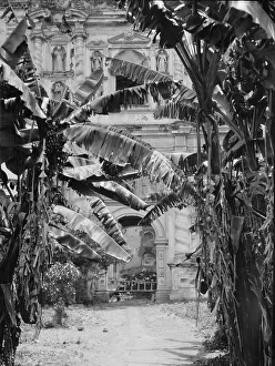 Travel views of Cuba and Guatemala, between 1899 and 1926. Creator: Arnold Genthe