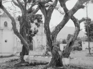 Travel views of Cuba and Guatemala, between 1899 and 1926. Creator: Arnold Genthe