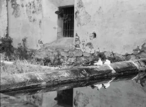 Travel views of Cuba and Guatemala, between 1899 and 1926. Creator: Arnold Genthe