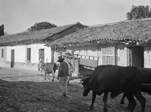 Travel views of Cuba and Guatemala, between 1899 and 1926. Creator: Arnold Genthe