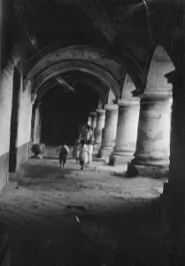 Travel views of Cuba and Guatemala, between 1899 and 1926. Creator: Arnold Genthe