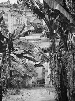 Travel views of Cuba and Guatemala, between 1899 and 1926. Creator: Arnold Genthe