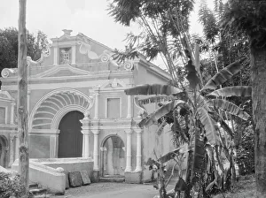Banana Tree Prints: Travel views of Cuba and Guatemala, between 1899 and 1926. Creator: Arnold Genthe