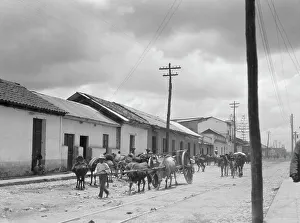 Tram Line Prints: Travel views of Cuba and Guatemala, between 1899 and 1926. Creator: Arnold Genthe