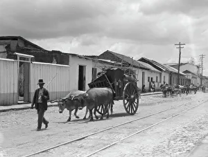 Tram Line Prints: Travel views of Cuba and Guatemala, between 1899 and 1926. Creator: Arnold Genthe