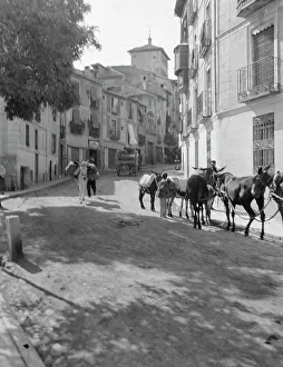 Donkeys Prints: Travel views of Europe, between 1904 and 1938. Creator: Arnold Genthe