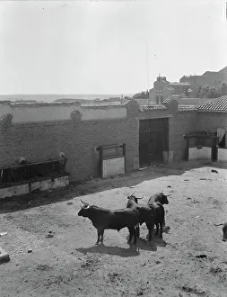 Travel views of Europe, between 1904 and 1938. Creator: Arnold Genthe