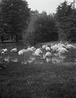 Travel views of Europe, between 1904 and 1938. Creator: Arnold Genthe