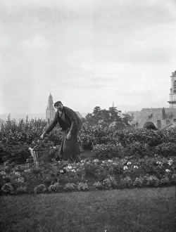 Cultivating Prints: Travel views of Europe, between 1904 and 1938. Creator: Arnold Genthe