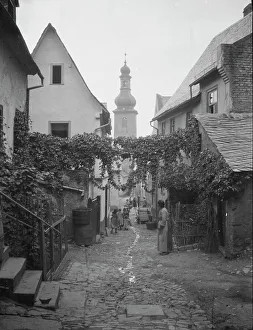 Climbing Plants Prints: Travel views of Europe, between 1904 and 1938. Creator: Arnold Genthe