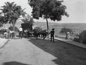 Drover Prints: Travel views of Europe, between 1904 and 1938. Creator: Arnold Genthe