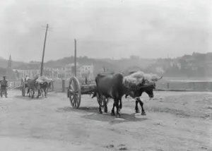 Travel views of Europe, between 1904 and 1938. Creator: Arnold Genthe