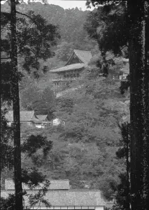 Greenery Prints: Travel views of Japan and Korea, 1908. Creator: Arnold Genthe