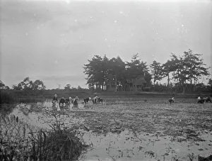 At Work Prints: Travel views of Japan and Korea, 1908. Creator: Arnold Genthe