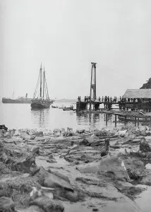 Disembarkation Prints: Travel views of Japan and Korea, 1908. Creator: Arnold Genthe