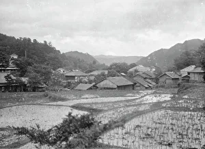 Rice Paddy Prints: Travel views of Japan and Korea, 1908. Creator: Arnold Genthe