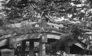 Vegetation Prints: Travel views of Japan and Korea, 1908. Creator: Arnold Genthe