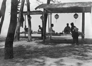 Customers Prints: Travel views of Japan and Korea, 1908. Creator: Arnold Genthe