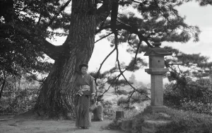 Travel views of Japan and Korea, 1908. Creator: Arnold Genthe