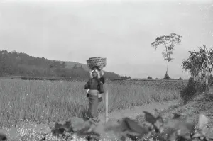 Crops Prints: Travel views of Japan and Korea, 1908. Creator: Arnold Genthe