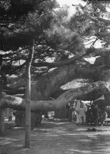 Trunk Prints: Travel views of Japan and Korea, 1908. Creator: Arnold Genthe