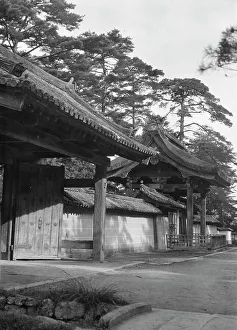 Greenery Prints: Travel views of Japan and Korea, 1908. Creator: Arnold Genthe