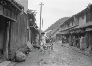 Travel views of Japan and Korea, 1908. Creator: Arnold Genthe