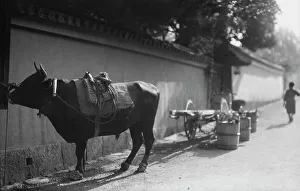 Pail Prints: Travel views of Japan and Korea, 1908. Creator: Arnold Genthe