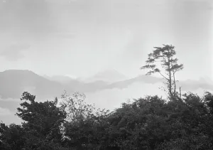 Travel views of Japan and Korea, 1908. Creator: Arnold Genthe