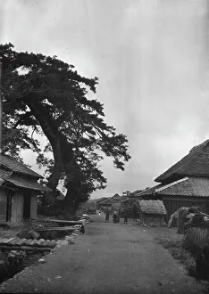 Villagers Prints: Travel views of Japan and Korea, 1908. Creator: Arnold Genthe