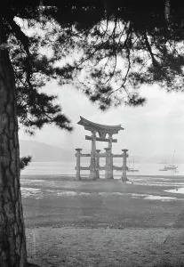 Torii Gate Prints: Travel views of Japan and Korea, 1908. Creator: Arnold Genthe